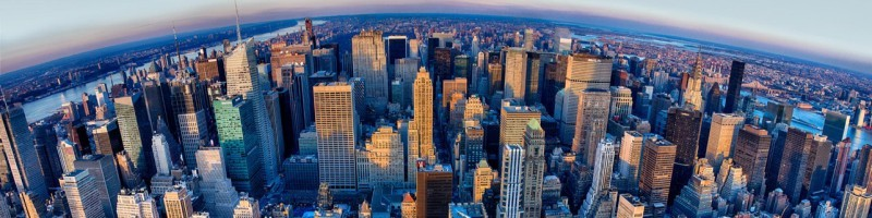 Advocacy and Leadership in the Haitian-American Community